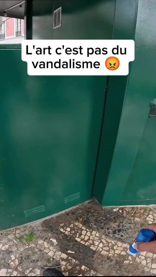 Post 8 by Le tagueur fou 🫟 on TikTok (video)