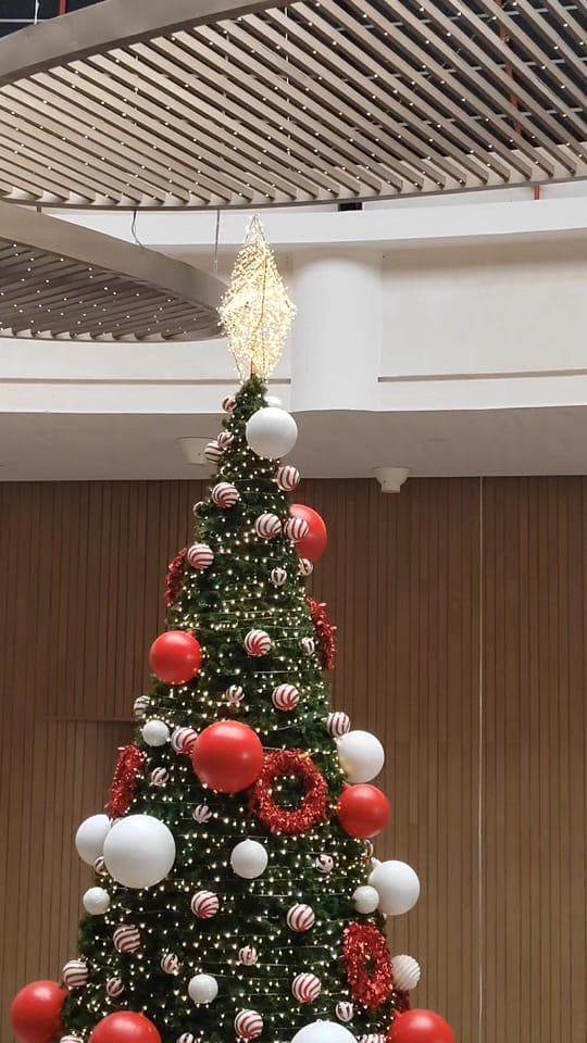 Post 7 by POTRO on TikTok (video)
