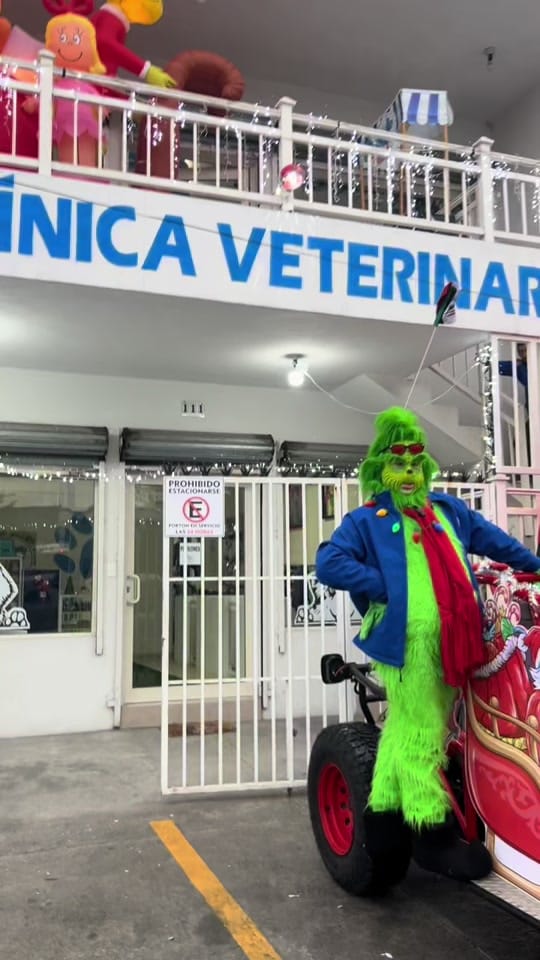 Post 9 by Veterinaria ThepomsHouse on TikTok (video)