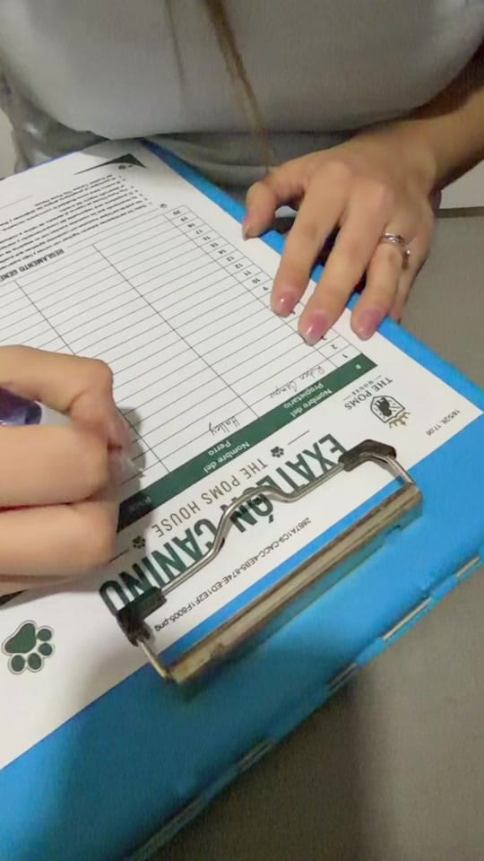 Post 2 by Veterinaria ThepomsHouse on TikTok (video)