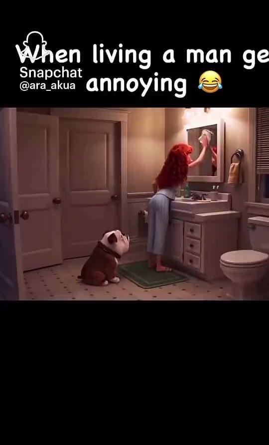 Post 3 by Mywallyparis on TikTok (video)