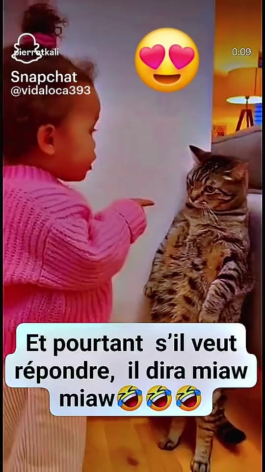 Post 4 by Mywallyparis on TikTok (video)