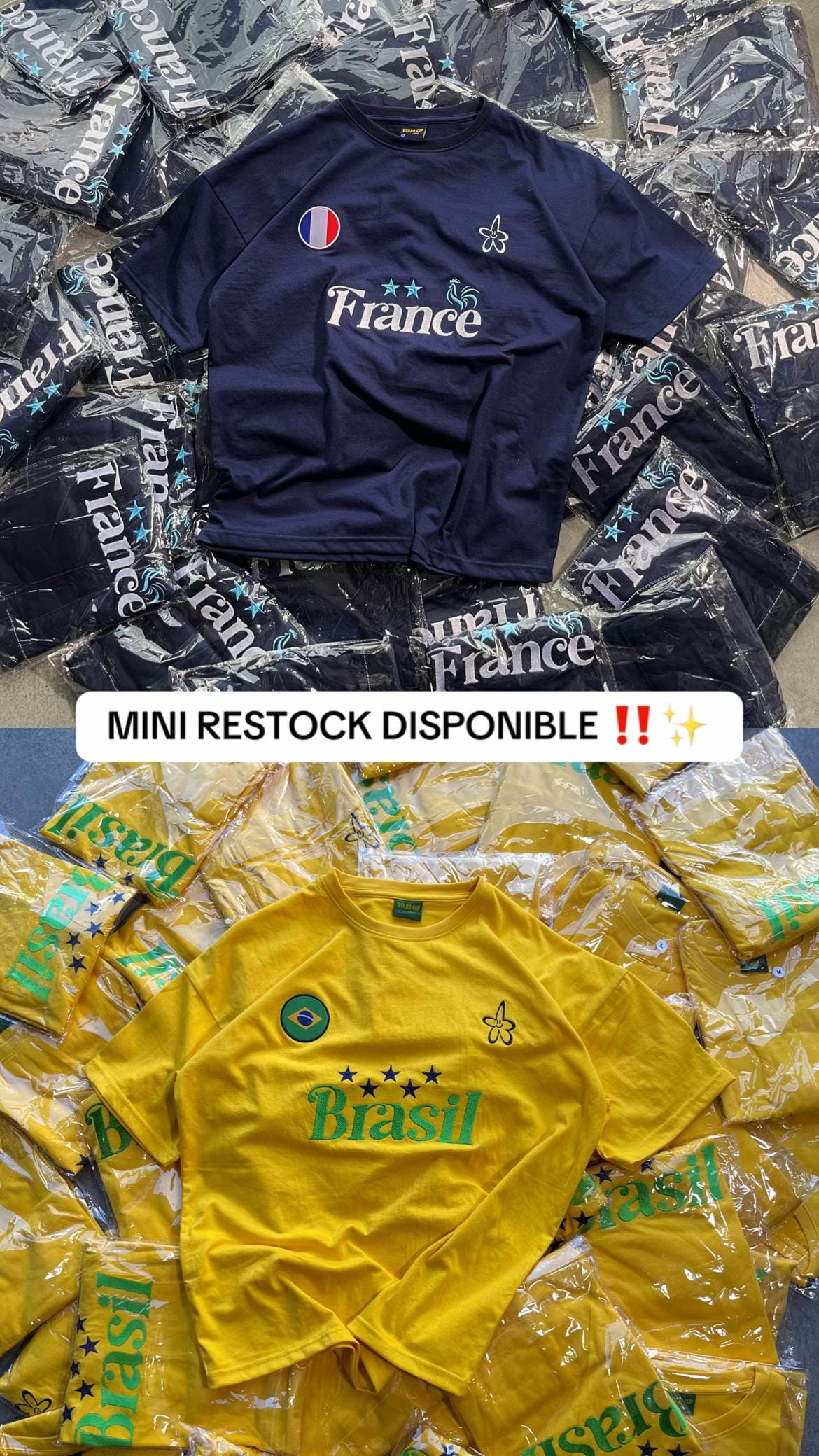 Post 2 by Florfantasy on TikTok (video)