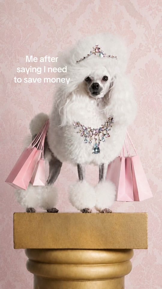 Post 2 by ladyfrances_boutique on TikTok (video)