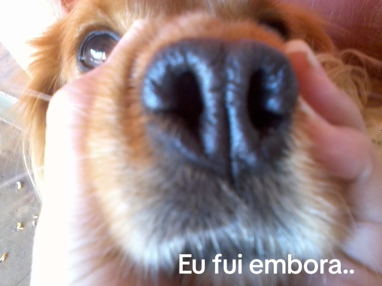 Post 8 by Juliana Paixão on TikTok (video)