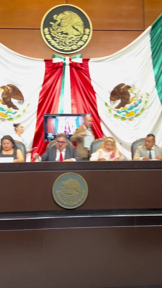 Post 2 by Ricardo Monreal on TikTok (video)