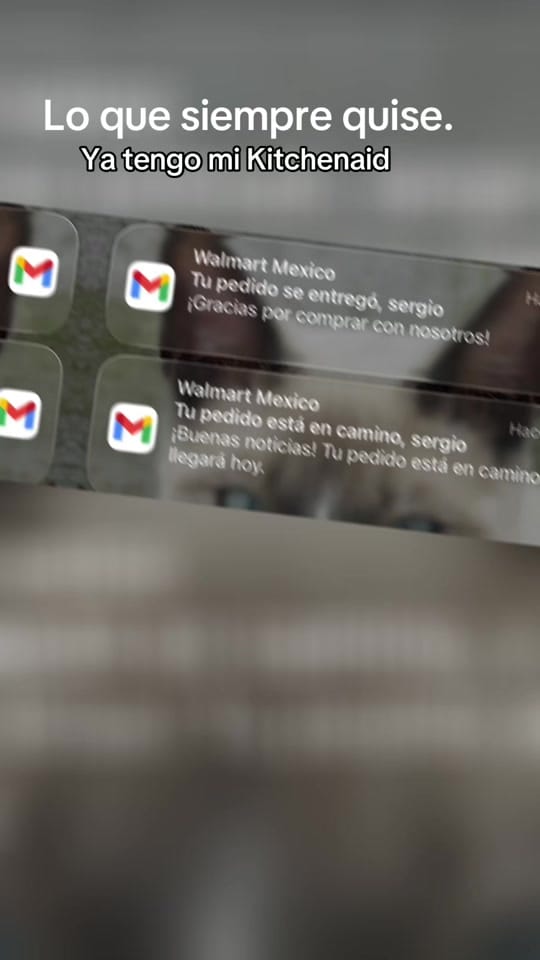 Post 5 by Sergio AvilezNavarro on TikTok (video)