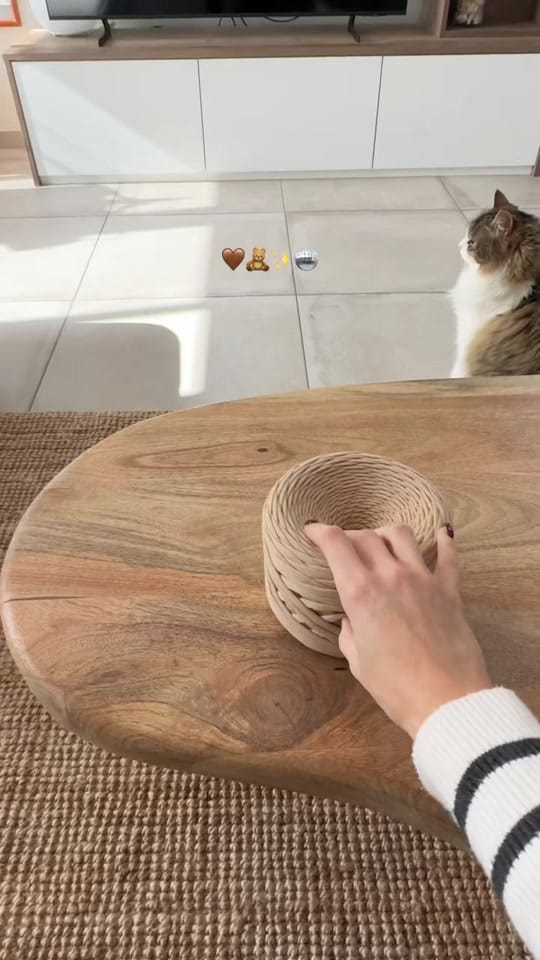 Post 7 by cushy.lab on TikTok (video)