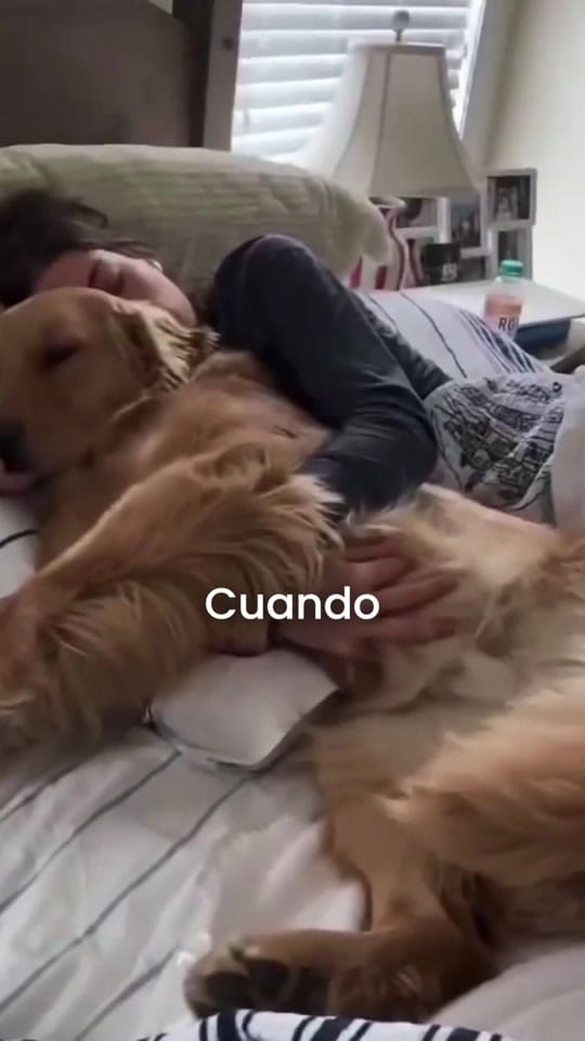 Post 9 by MKDental.mx on TikTok (video)