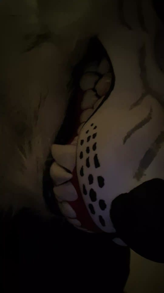 Post 1 by Skyle_North on TikTok (video)