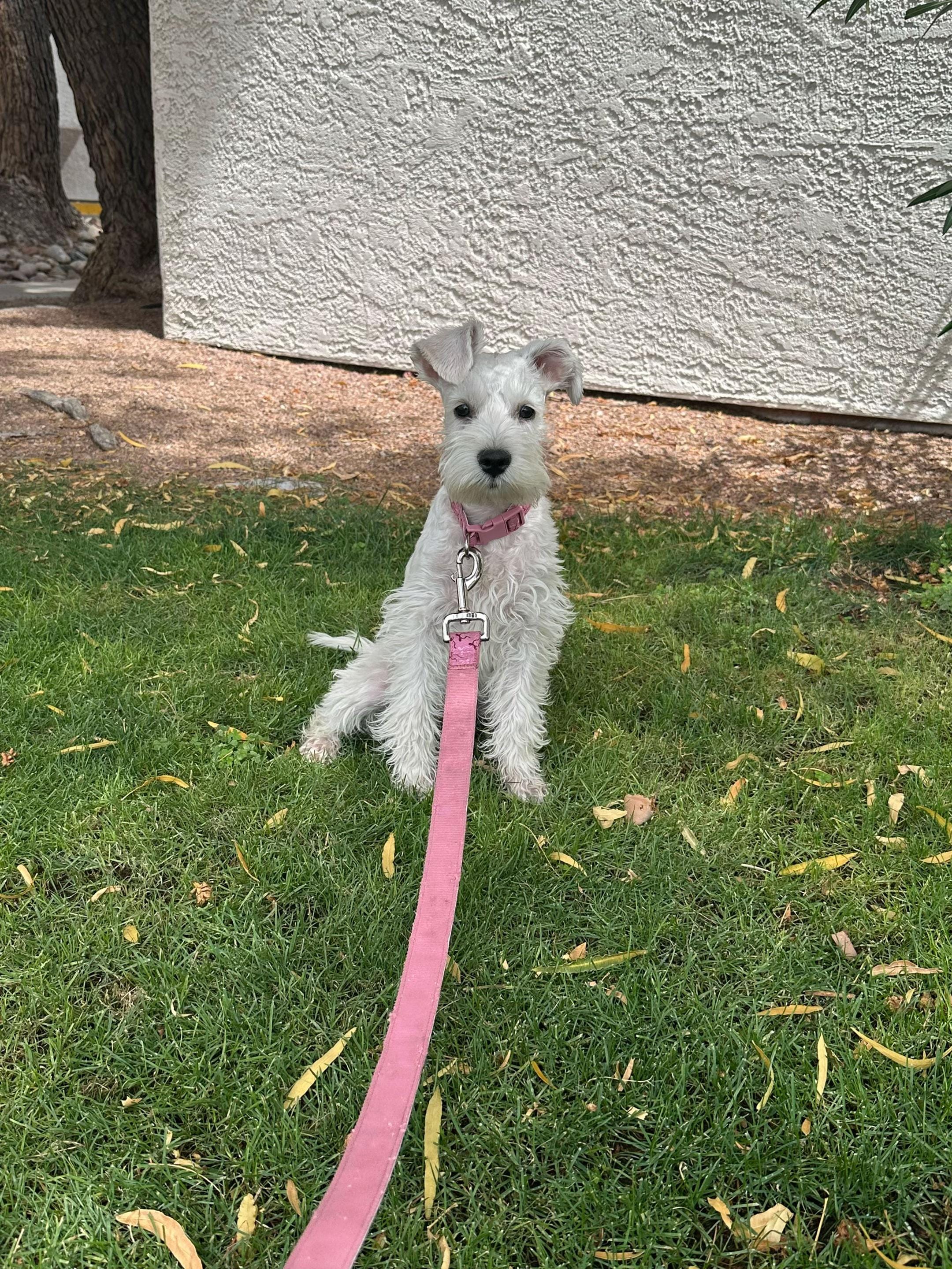 Post 4 by C.D Carolina Espinoza on TikTok (video)