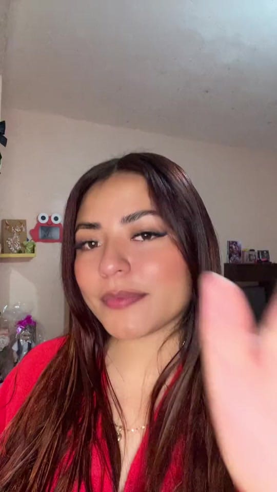 Post 3 by Pamela Vásquez💘 on TikTok (video)