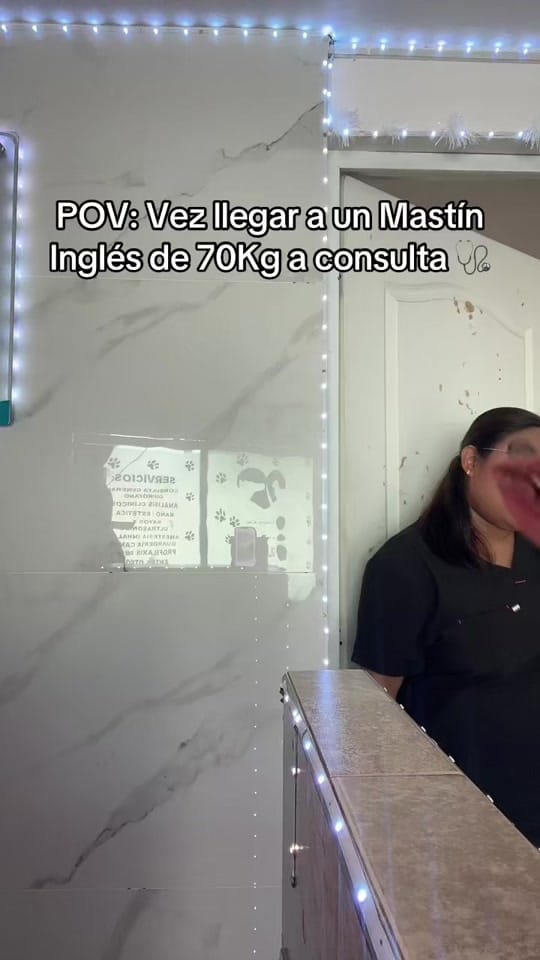 Post 5 by hevcln⚕️🐾 on TikTok (video)