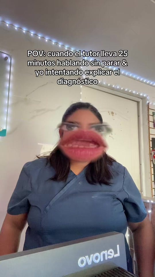 Post 4 by hevcln⚕️🐾 on TikTok (video)
