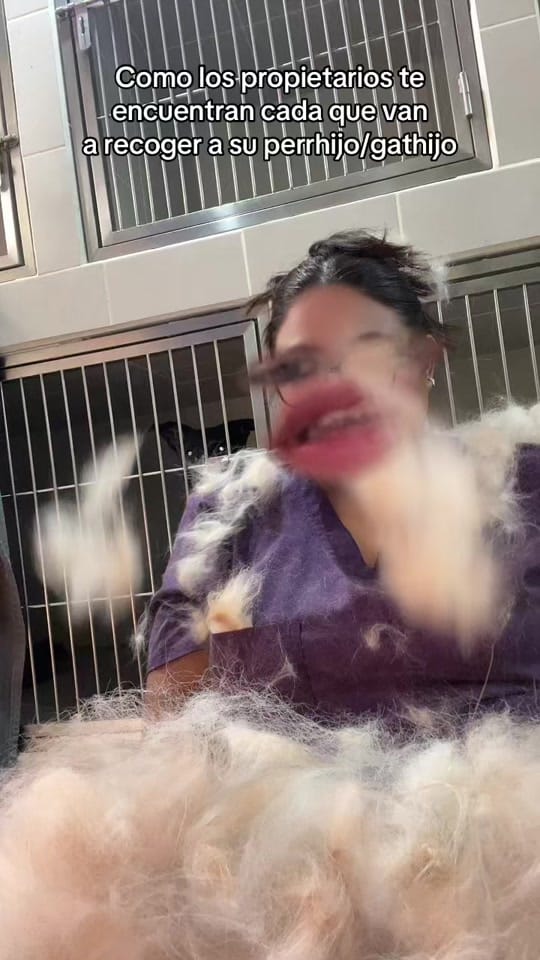 Post 9 by hevcln⚕️🐾 on TikTok (video)