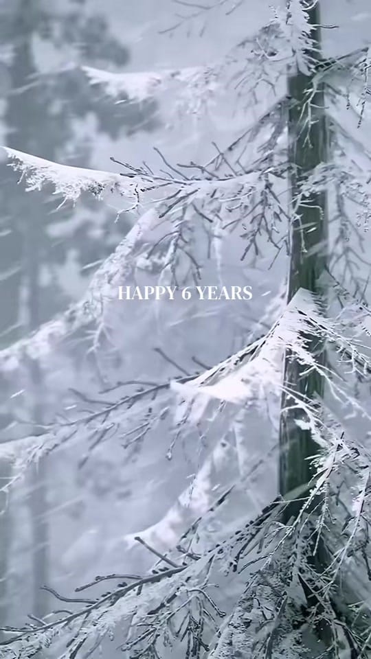 Post 4 by Photoingame on TikTok (video)