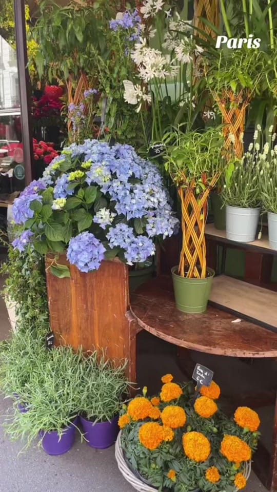 Post 3 by Ds on TikTok (video)