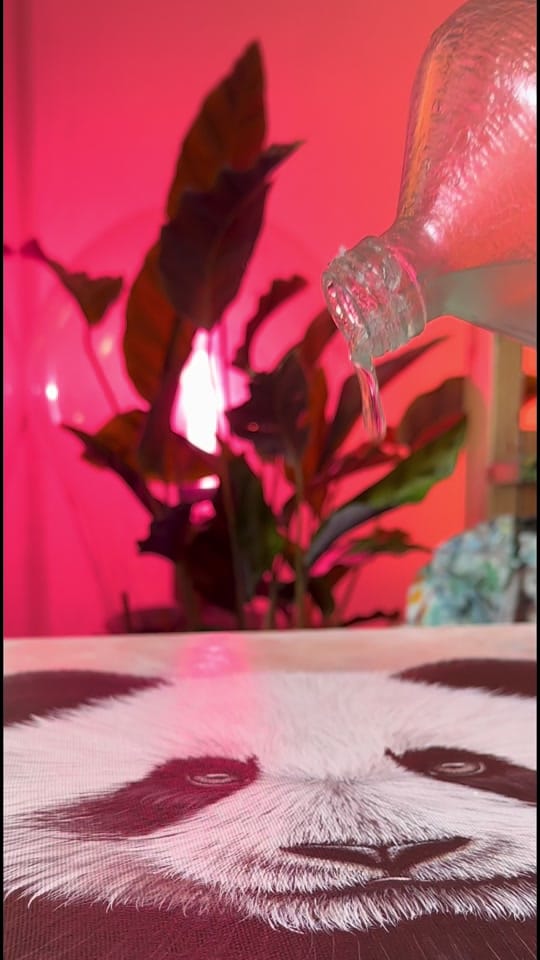 Post 7 by Lucie.peint on TikTok (video)