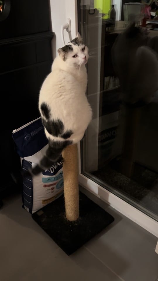 Post 8 by ejys.diy on TikTok (video)