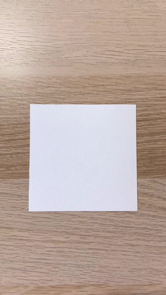 Post 6 by cawolines on TikTok (video)