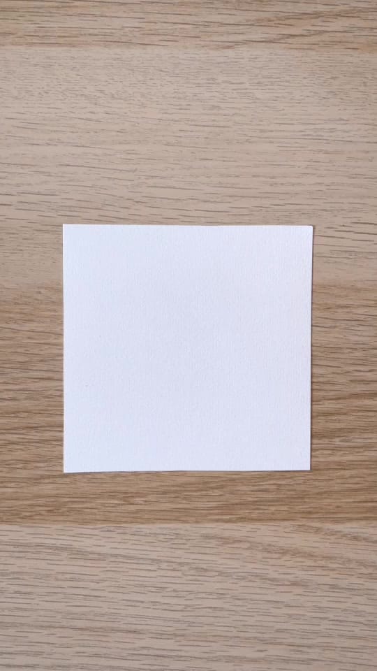 Post 7 by cawolines on TikTok (video)