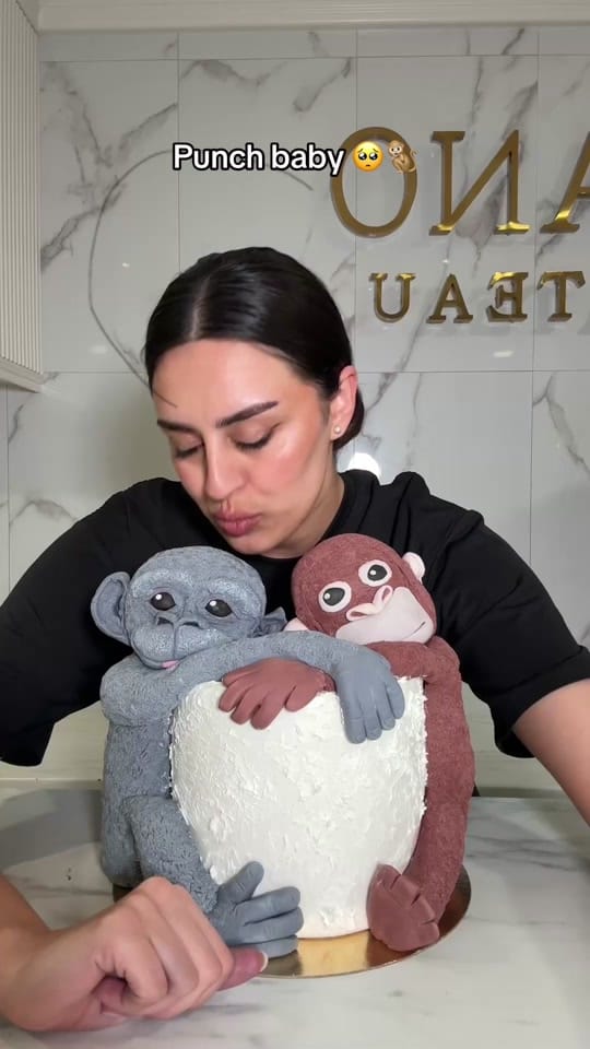 Post 9 by Nano Gâteau 🇫🇷🇦🇲 on TikTok (video)
