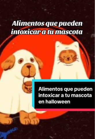 Post 5 by Cmv_colima on TikTok (video)