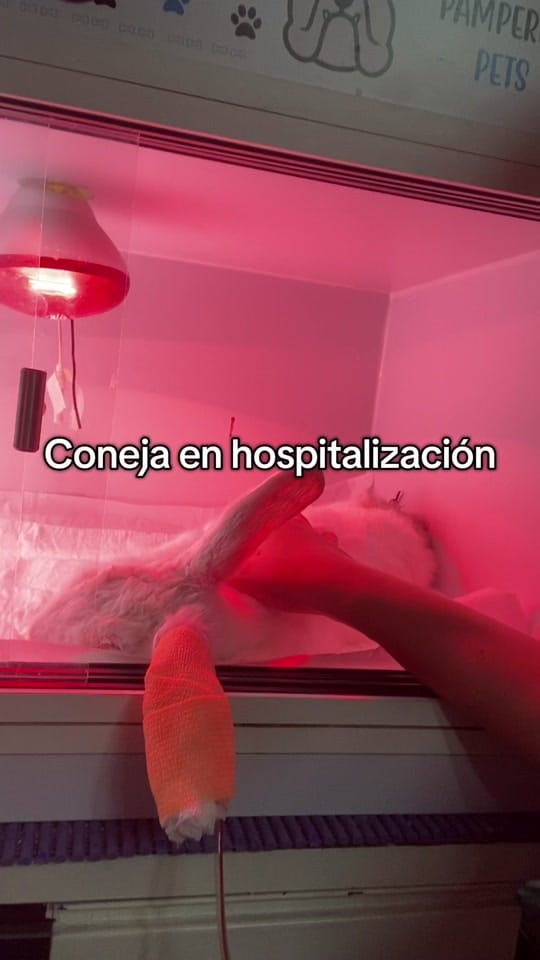 Post 3 by Cmv_colima on TikTok (video)