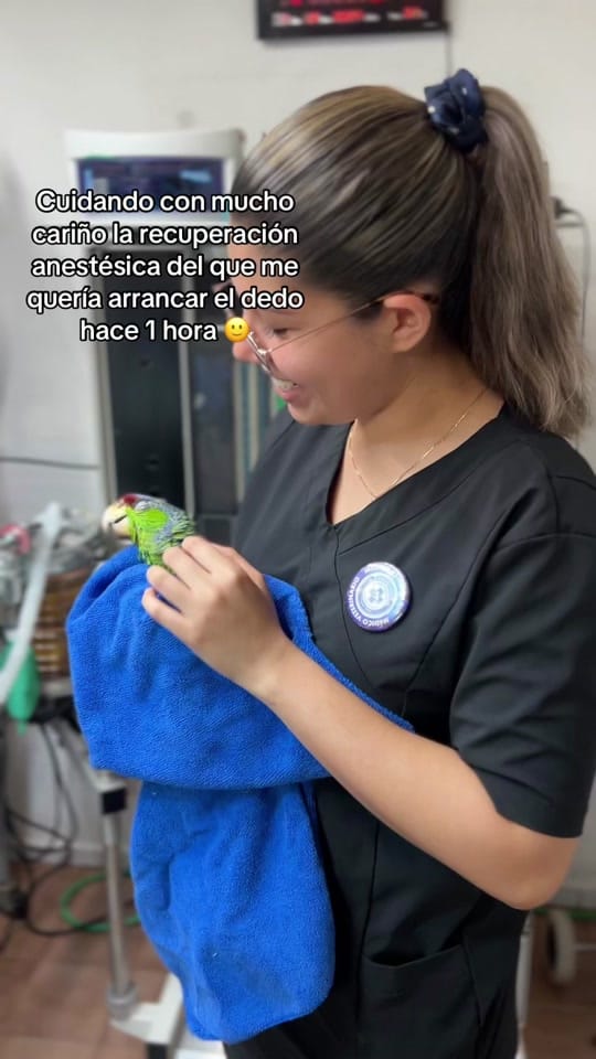 Post 10 by Cmv_colima on TikTok (video)