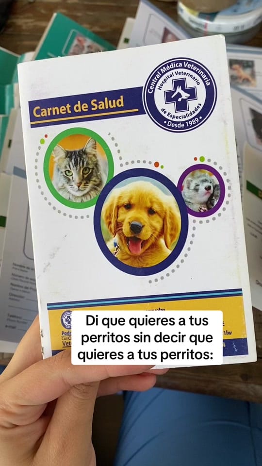 Post 1 by Cmv_colima on TikTok (video)