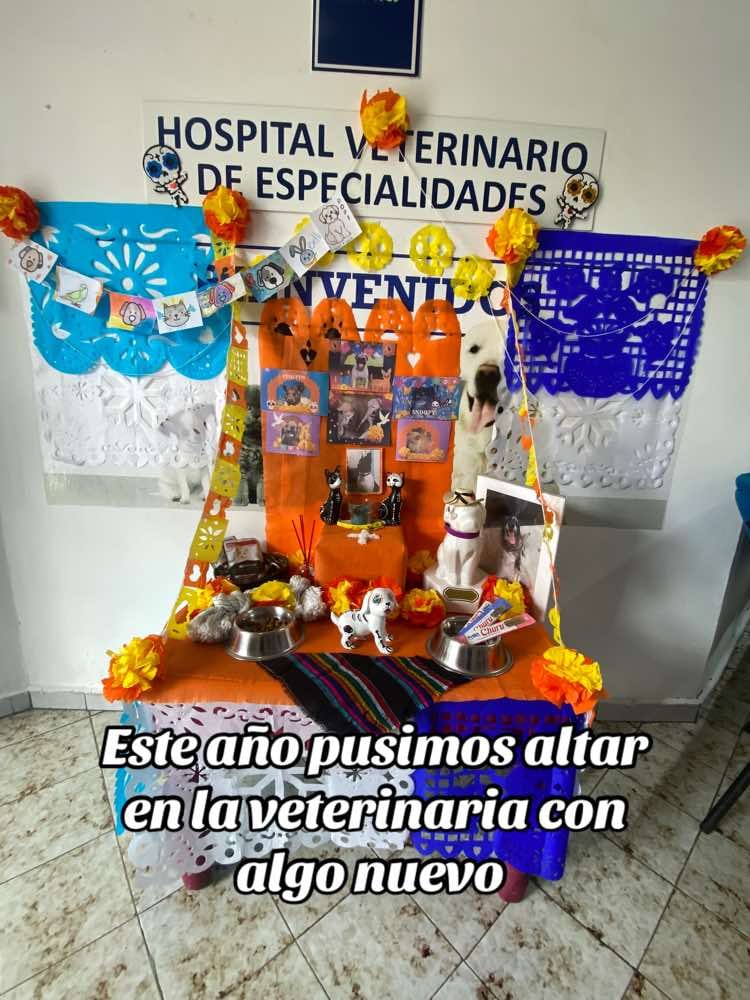 Post 8 by Cmv_colima on TikTok (video)