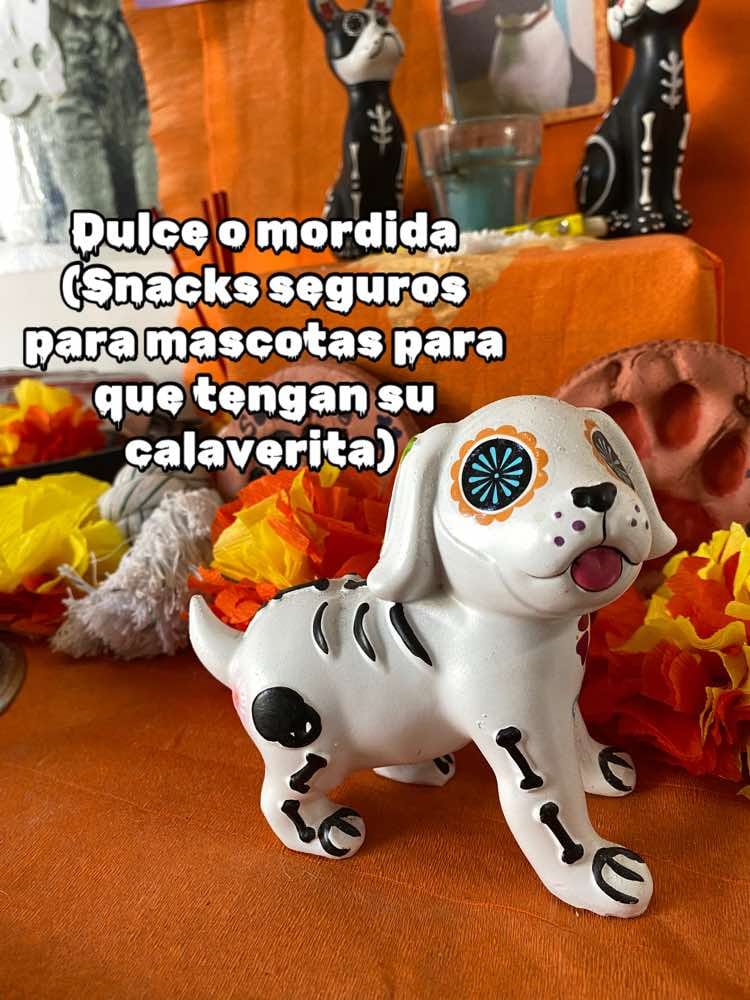 Post 4 by Cmv_colima on TikTok (video)