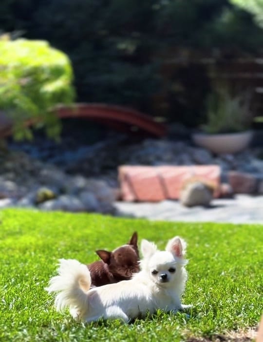 Post 6 by Unique Love FCI on TikTok (video)