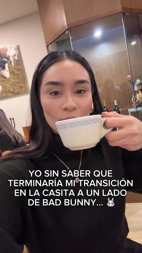 Post 8 by Fernanda Mejía on TikTok (video)
