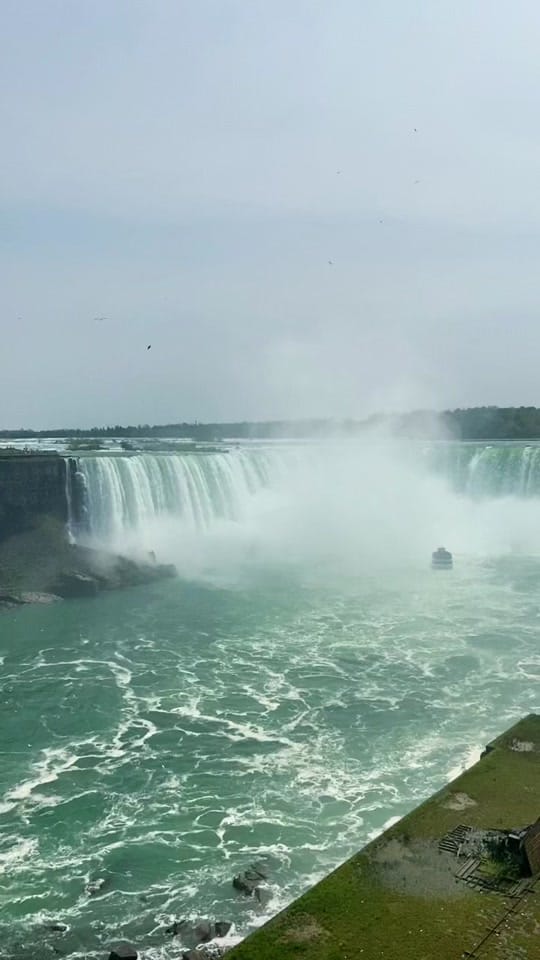 Post 1 by Dra. Albores on TikTok (video)