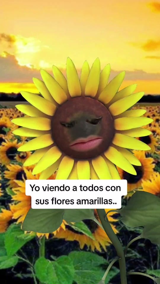 Post 10 by Dra. Denisse Pantoja on TikTok (video)