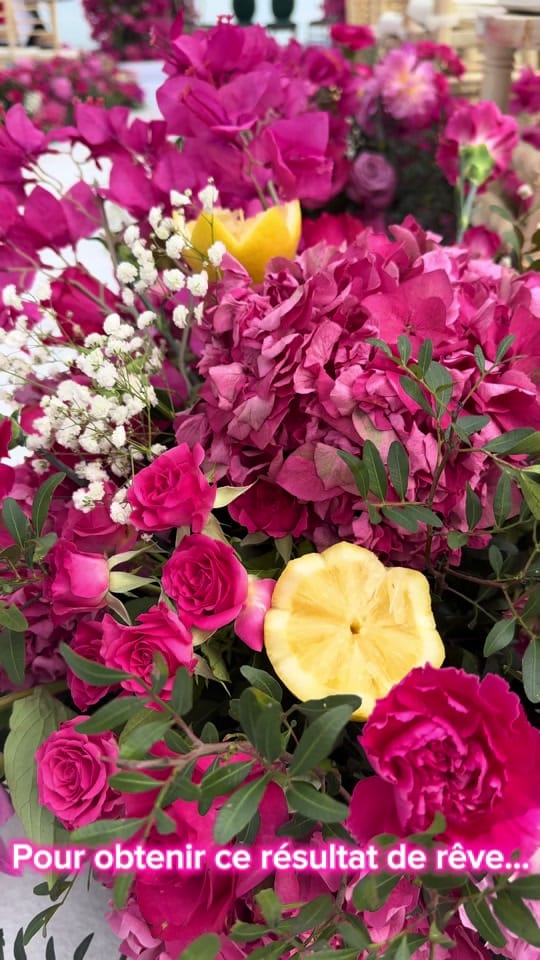 Post 5 by Donna Design on TikTok (video)
