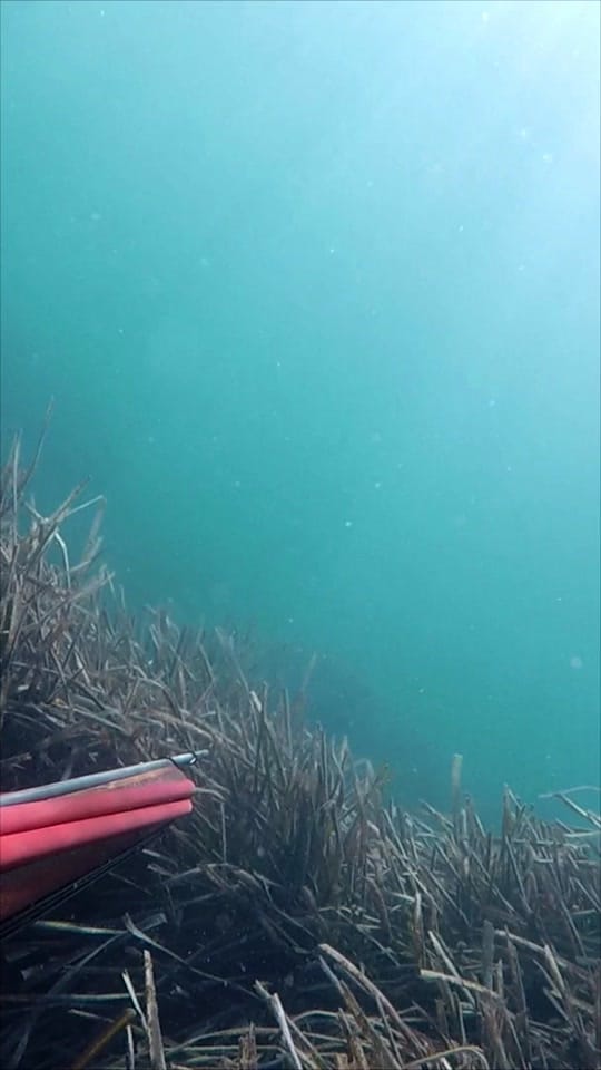 Post 6 by Axel Mkvl on TikTok (video)