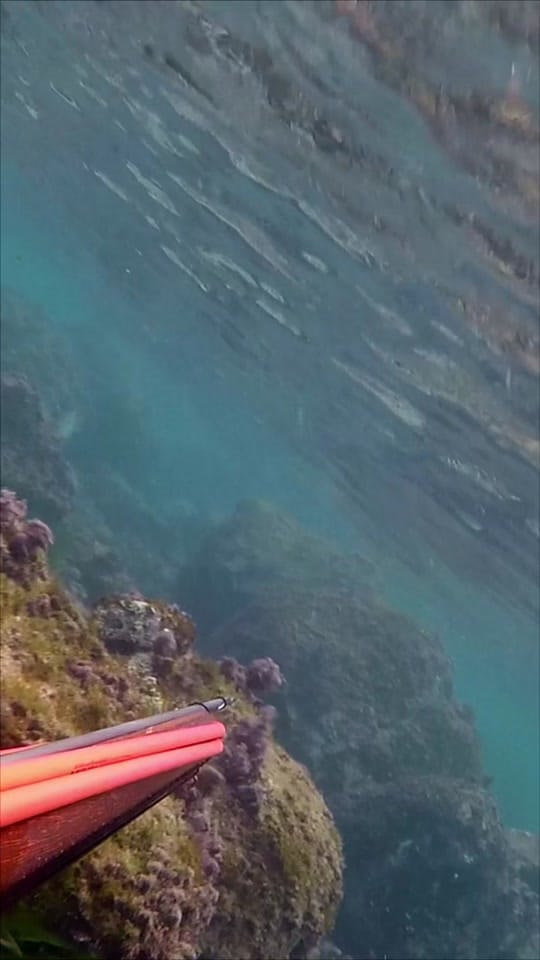 Post 3 by Axel Mkvl on TikTok (video)