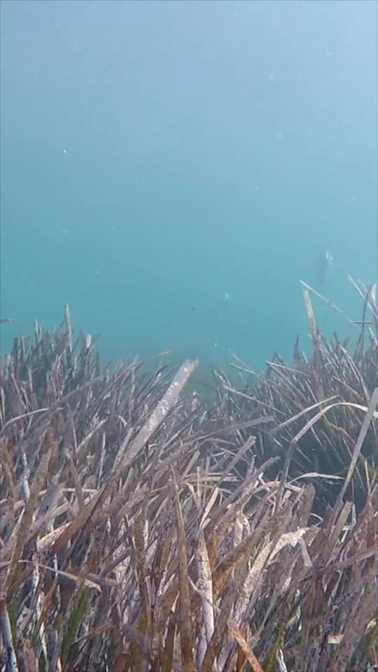 Post 9 by Axel Mkvl on TikTok (video)