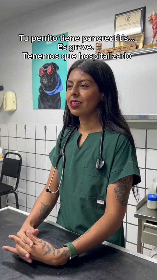 Post 1 by Vet Mexico on TikTok (video)