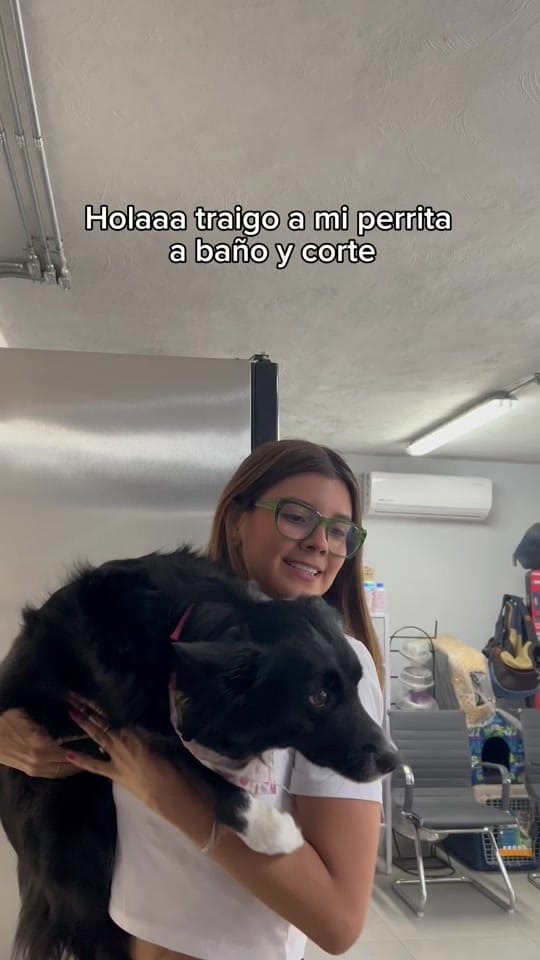 Post 4 by Vet Mexico on TikTok (video)