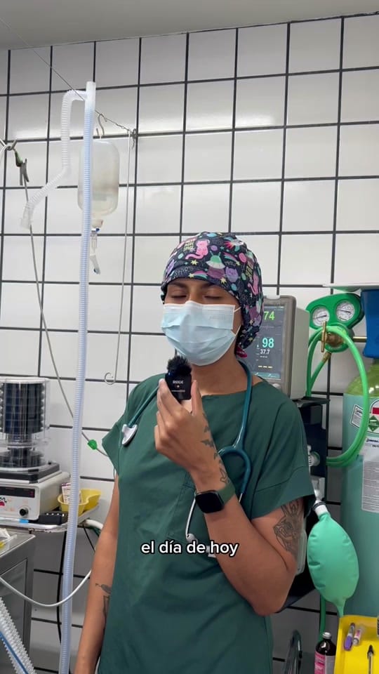 Post 3 by Vet Mexico on TikTok (video)
