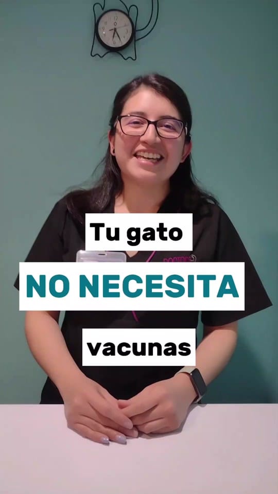 Post 9 by Doctora Cats on TikTok (video)