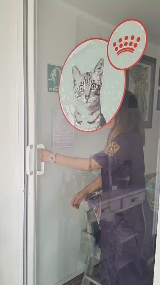 Post 4 by Doctora Cats on TikTok (video)