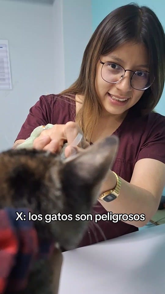 Post 7 by Doctora Cats on TikTok (video)