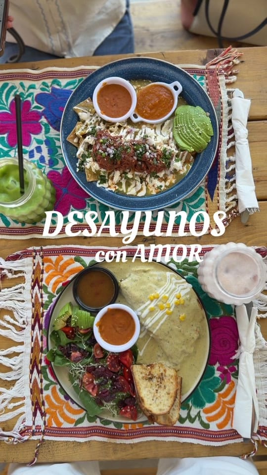 Post 2 by Catadoc on TikTok (video)