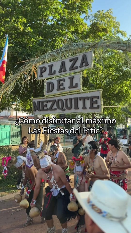 Post 7 by Catadoc on TikTok (video)