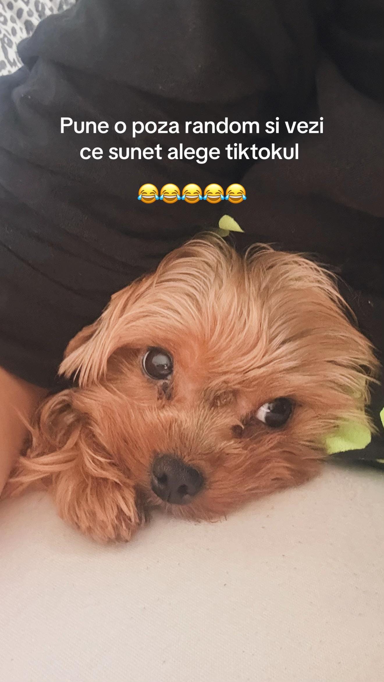 Post 4 by 𝐿𝑒𝑜𝓃𝒶 on TikTok (video)