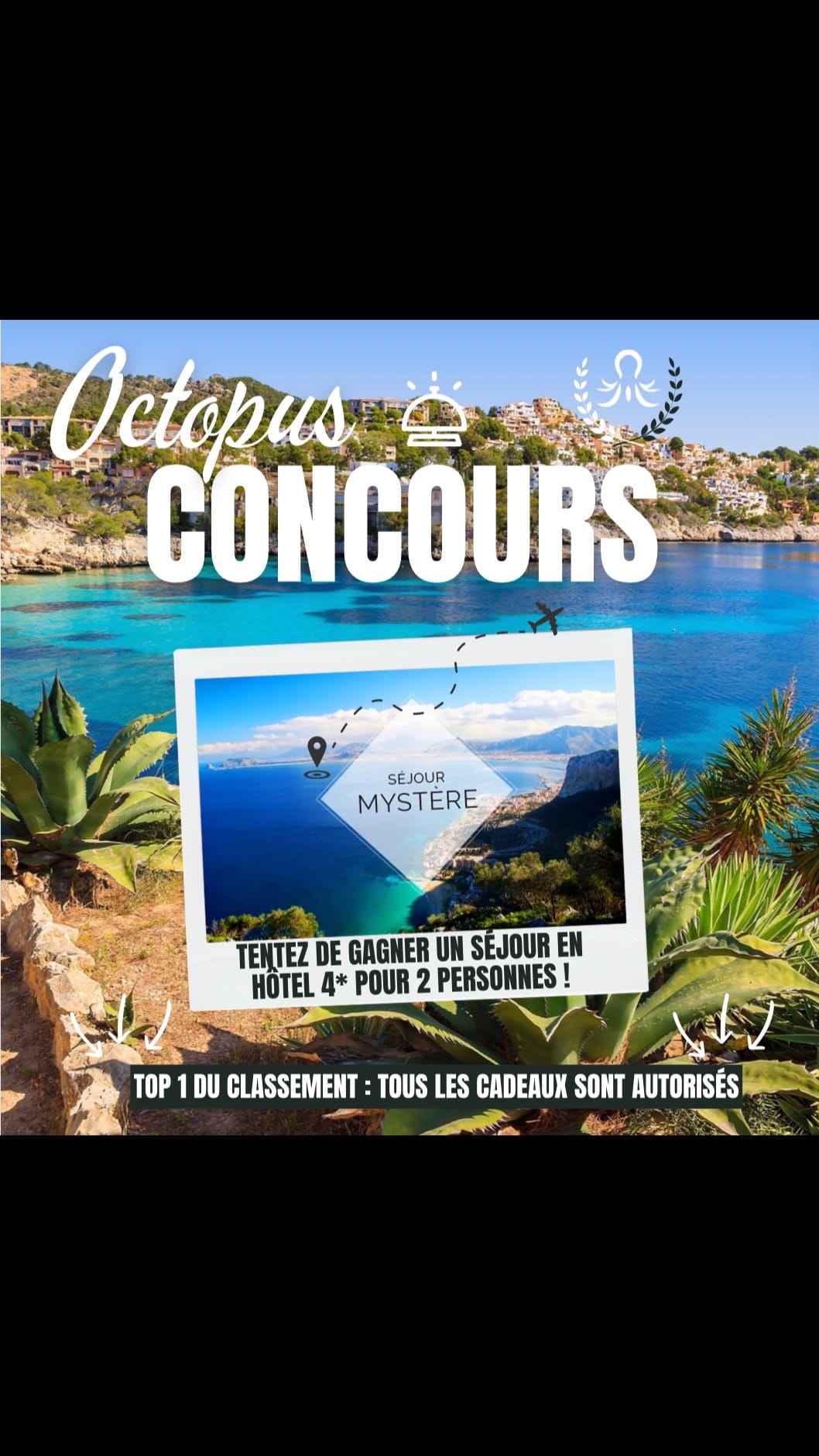 Post 7 by OCTOPUS AGENCY 🇫🇷/🇧🇪 🐙 on TikTok (video)